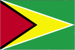 Gujana - flaga
